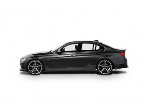 2012_ACSchnitzer_ACS32