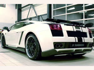 2006_Hamann_GallardoSE3