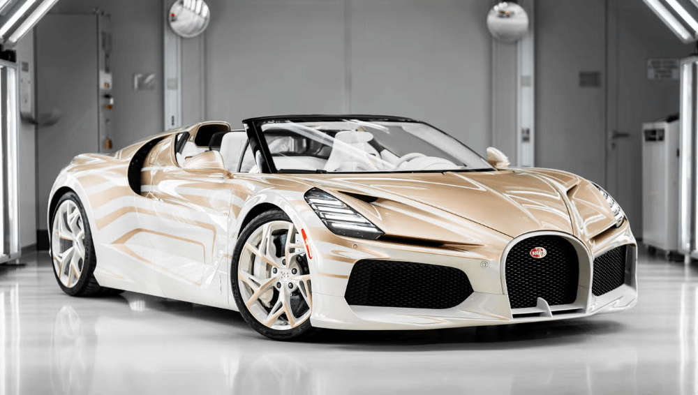 боята-на-това-bugatti-mistral-е-чисто-изкуство